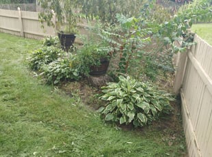 Weeding by Greg Moore for Michael V. in Columbus, OH