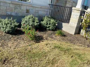 Weeding by Roberto Banda for Mandy S. in Austin, TX