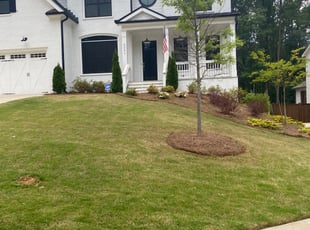 Bush Trimming by Prince Davis for LaToya S. in Marietta, GA