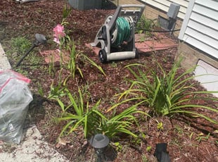Cleanups by Nicholas Harter for Mahendra G. in Virginia Beach, VA