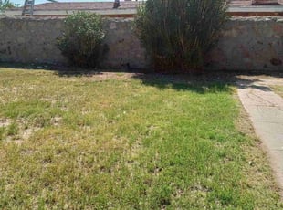 Bush Trimming by Angel Sandoval for Freddy A. in El Paso, TX