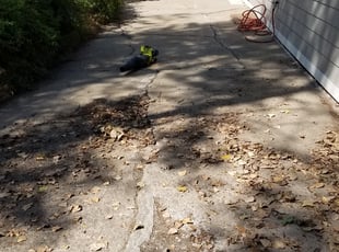 Leaf Removal by Philip Castle for Corey R. in Denver, CO