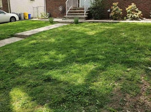 Gabrielle C.'s Yard Cutting service result