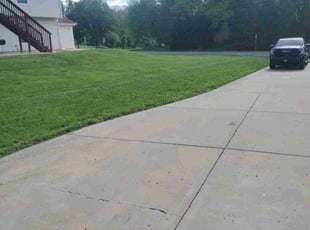 Sheila M.'s Lawn Maintenance service result