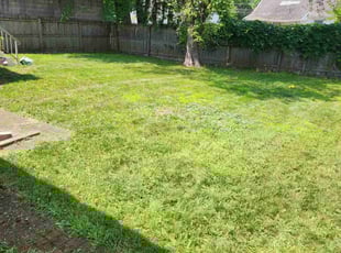 Georgette J.'s Lawn Mowing service result