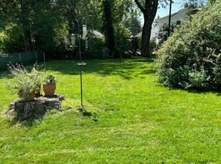 Faryal D.'s Lawn Service service result