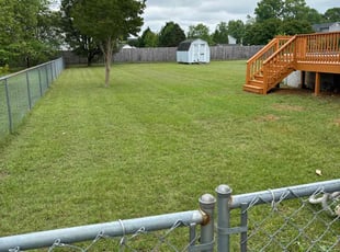 Michelle H.'s Lawn Mowing service result