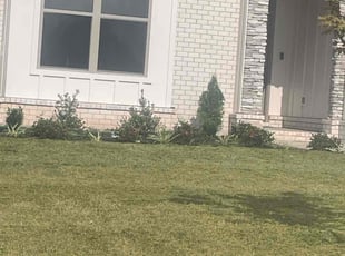 Luis R.'s Lawn Service service result