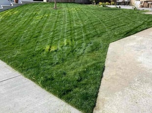 Katrisa L.'s Lawn Mowing service result