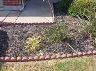 Weeding by Renarld Gardner for Cameron C. in Fort Worth, TX