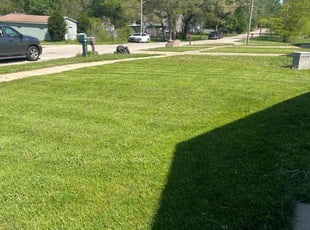 Deshaun S.'s Lawn Mowing service result