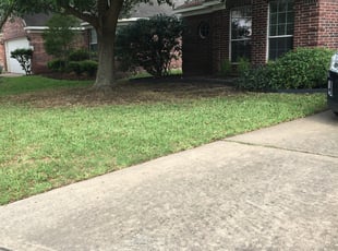Leaf Removal by Joseph Hopkins for Karen J. in Cypress, TX