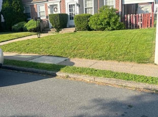 Tom B.'s Lawn Care service result