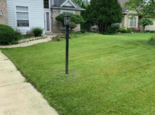 Janice D.'s Lawn Mowing service result