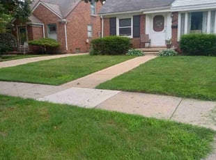 Dennis K.'s Lawn Care service result