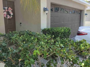 Bush Trimming by Sophia Johnson for Amanda E. in Wesley Chapel, FL