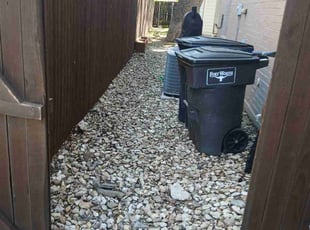 Cleanups by Jose Martinez for Daniel N. in Fort Worth, TX