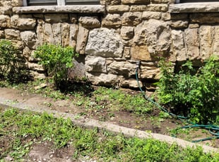 Bush Trimming by Rebecca Brewster for Jim M. in Kansas City, MO