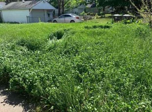Bush Trimming by Romell Horton for Paula W. in Madison Heights, MI