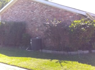 Bush Trimming by Byron Dirden for Christian F. in Houston, TX