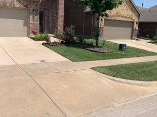 Brenda C.'s Lawn Mowing service result