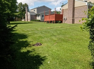 Aaron K.'s Lawn Care service result