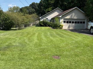 Tianna G.'s Lawn Mowing Service service result