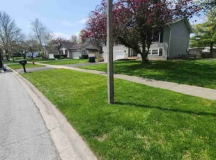 George H.'s Lawn Service service result