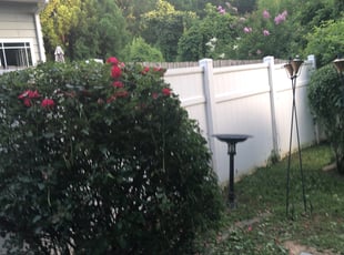 Bush Trimming by Nick Reaves for Sonya B. in Charlotte, NC