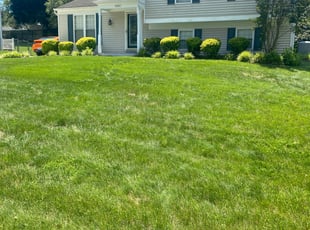 Bush Trimming by Brandon Miller for Sierra E. in Bowie, MD