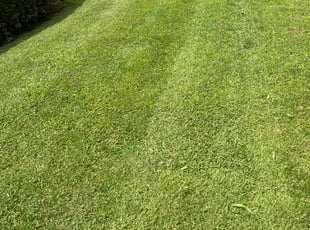 Charles A.'s Yard Cutting service result