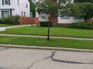 Patty S.'s Lawn Mowing Service service result