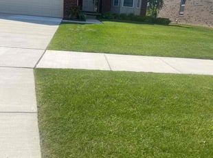 Robyn K.'s Lawn Service service result