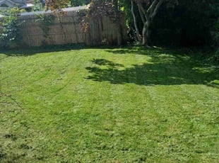 Randall A.'s Lawn Service service result