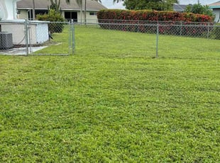 Annette H.'s Lawn Service service result