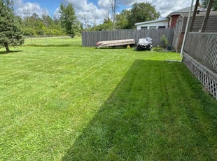 Rayla W.'s Lawn Maintenance service result