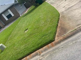 Rachel R.'s Lawn Care service result