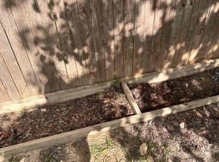 Weeding by Stephen Sifuentes for rupa S. in San Antonio, TX