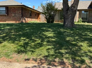 Sean M.'s Lawn Care service result