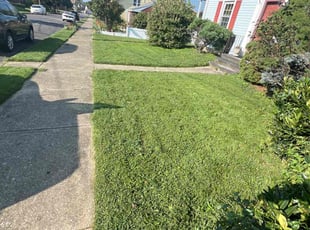 Nancy R.'s Lawn Mowing Service service result