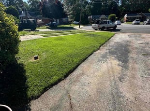 Melissa B.'s Lawn Maintenance service result