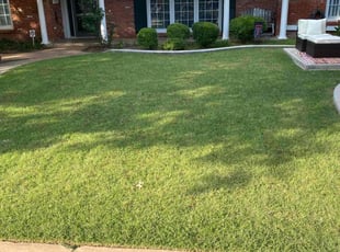 Emsy C.'s Lawn Care service result