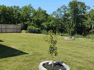 Diana v.'s Lawn Service service result