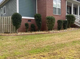 Bush Trimming by Richard Carpenter for Cameron C. in Evans, GA