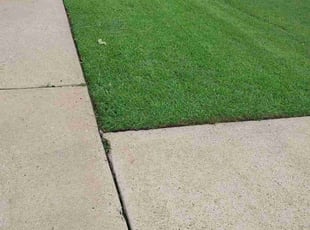 Leslie W.'s Lawn Mowing service result