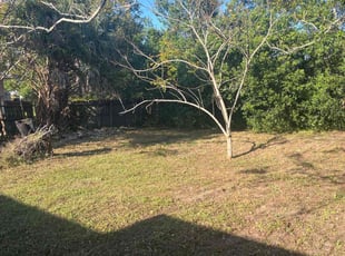 Leaf Removal by Mark Pugh for Clayton M. in Holly Hill, FL