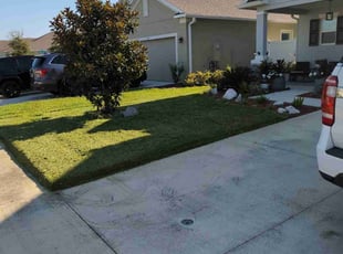 Denise L.'s Lawn Mowing service result