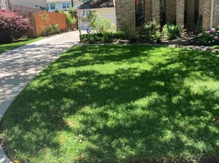 Richard G.'s Lawn Service service result