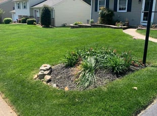 Melissa A.'s Lawn Care service result