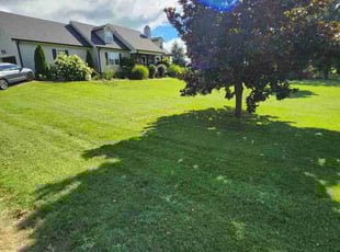 Jordan D.'s Lawn Care service result